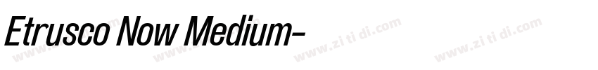 Etrusco Now Medium字体转换